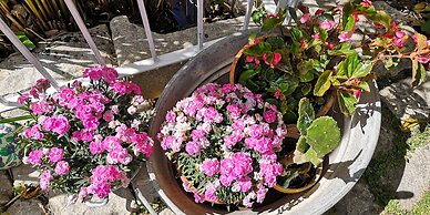 B&B Il giardino dei sospiri