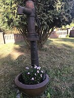 Triumph in der Heide