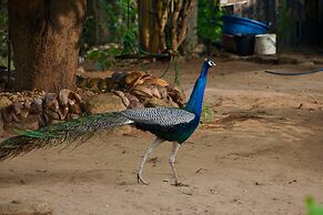 wish prabha lake view lodge