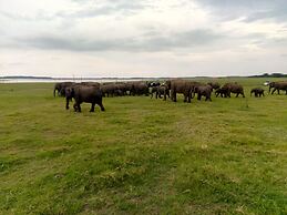 wish prabha lake view lodge
