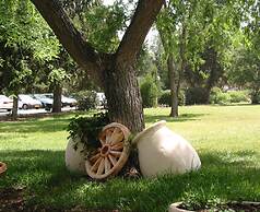 Holiday Village Kibbutz Mizra