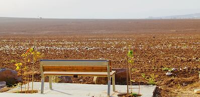 Holiday Village Kibbutz Mizra