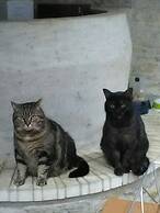 Chambres d'Hôtes Le Marais Picotin