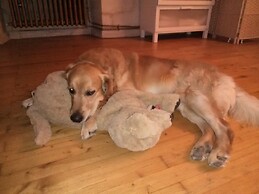 Chambres d'Hôtes Le Marais Picotin