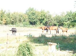 Chambres d'Hôtes Le Marais Picotin