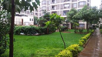 Lewisky homestays and tours