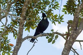 Tatahi Cove - Hostel