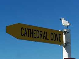 Tatahi Cove - Hostel