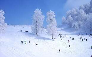 Snow Hill House Apart Otel