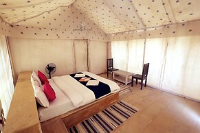 Amazing Desert Camp