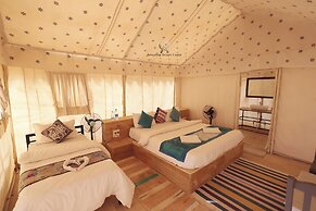 Amazing Desert Camp