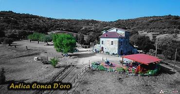 Antica Conca d'Oro