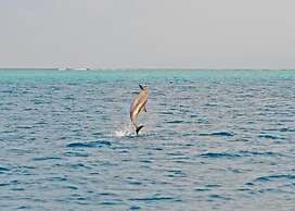 Ocean Village Maldives