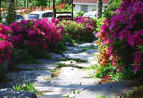 Petit Maison Pension