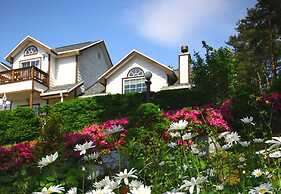 Petit Maison Pension