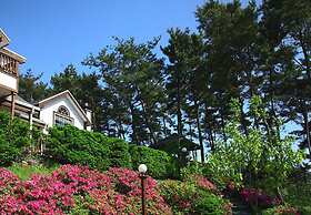 Petit Maison Pension