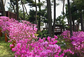 Petit Maison Pension