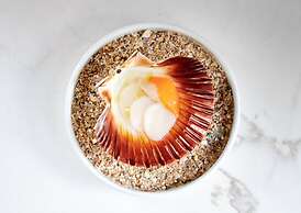 Campbell Point House