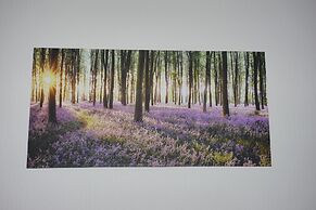 Broadshade Holiday Apartments