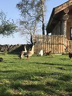 Braisty Woods - Hopes & Beams