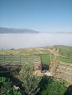 Farm stay Ali - Hostel