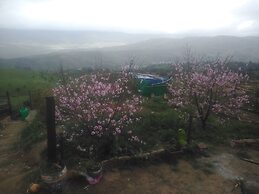 Farm stay Ali - Hostel