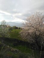 Farm stay Ali - Hostel