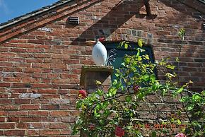 Squirrel Barn. Hi-spec. Hot tub & Wifi. Sleeps 14