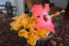 Baoba Breeze Bed & Breakfast