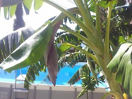 Agriturismo Ca' de Runde