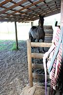 Woodhouse Cottages and Ranch