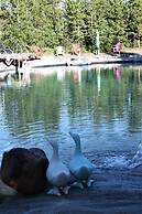 Woodhouse Cottages and Ranch