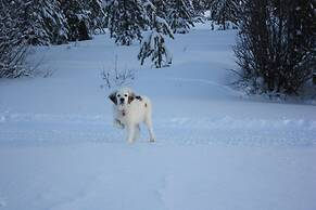 Woodhouse Cottages and Ranch