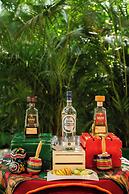 Armony Resort All-Inclusive MGallery Collection
