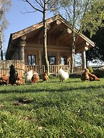 Braisty Woods - Knotty & Nice