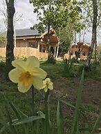 Braisty Woods - Knotty & Nice