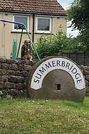 Braisty Woods - Knotty & Nice