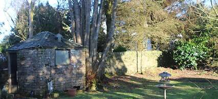 Yewtree Cottage -the Art House