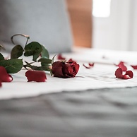 Maison d'hôtes La Domitia