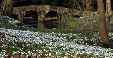 Cosy Cottage Next to the Shoreline in Cellardyke