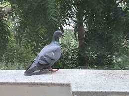 Security & Comfort 2 Bedroom Apartment in Gurugram