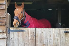 17th Century Watermill