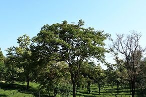 Mastiff Villa Camellia - A Tea Estate Hotel