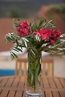 L' Amandier Hotel & Villas