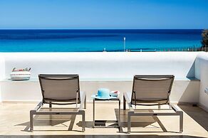 San Lorenzo - Lavanda