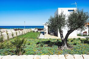 San Lorenzo - Lavanda