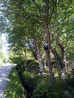 Kungshamns Vandrarhem - Hostel