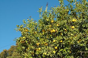 Jingtu Wellness & Spa Resort