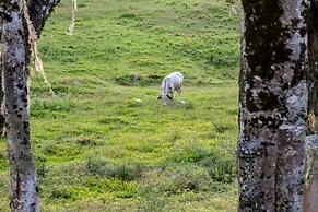 Locar-in Gramado Chácara Bela Vista