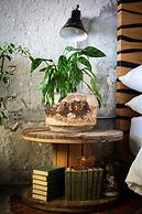 Hotel Boutique Lafayette Tijuana